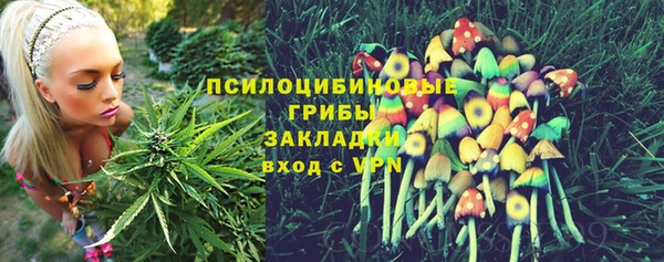 индика Богданович