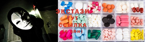 ECSTASY Богородицк